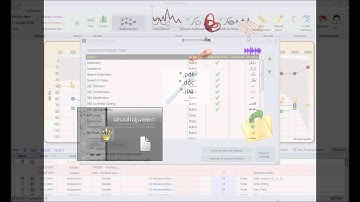 Audiqueen Test Management (English)