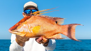 Florida's Best Tasting Fish! Hogfish & Snapper Offshore Bottom Fishing