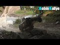 Rallye des Cimes 2017  [Show & Jumps ]