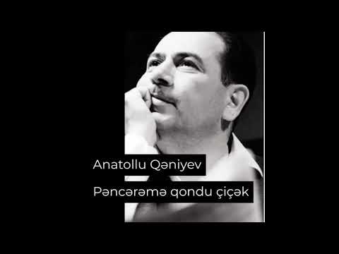 Anatollu Qəniyev- Pəncərənə qondu çiçək
