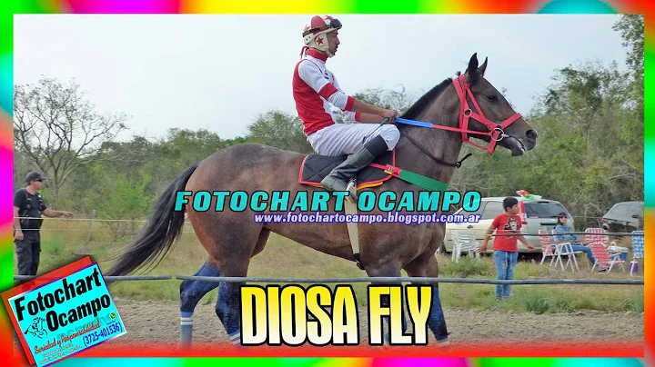 DIOSA FLY - Florencia - Santa Fe 18/09/2022