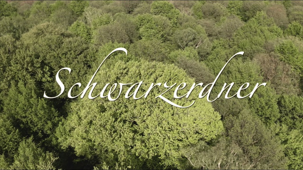 Schwarzerdner - ein Tanzfilm