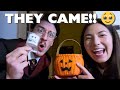 Trick or Treating in Japan?! | Halloween Almost Got Cancelled! (Birthday Vlog) 🎃✨