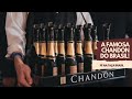 Chandon brasil  vinho brasileiro sem fronteiras ep17