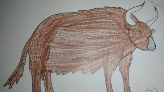 Sound Effects-Wild Yak