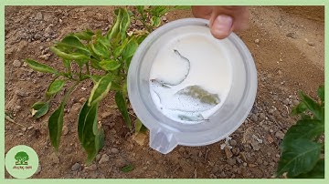 Het krachtigste organische pesticidenmengsel