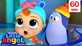 The Aquarium Is So Colorful | Colorful Little Angel Sing Along Nursery Rhymes