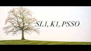 Enchanted Pathways: SL1, K1, PSSO