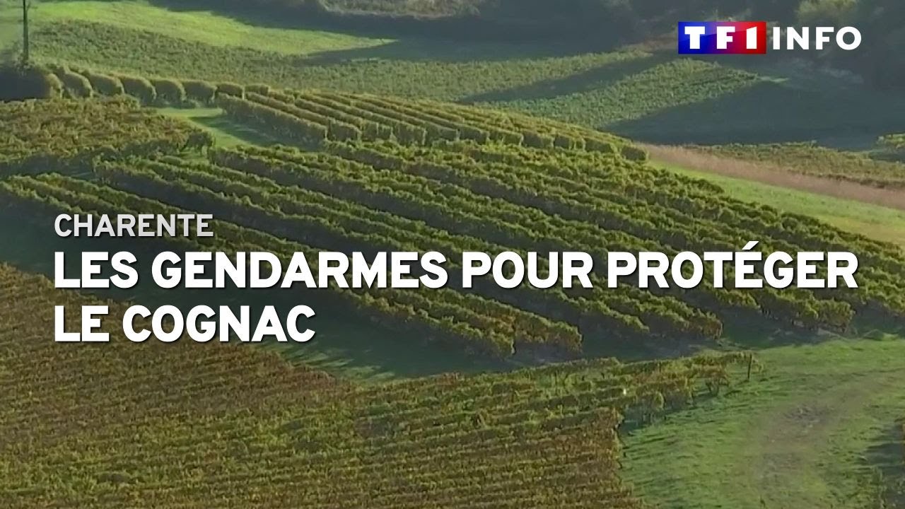 Charente : des gendarmes pour protéger le Cognac et les producteurs des vols