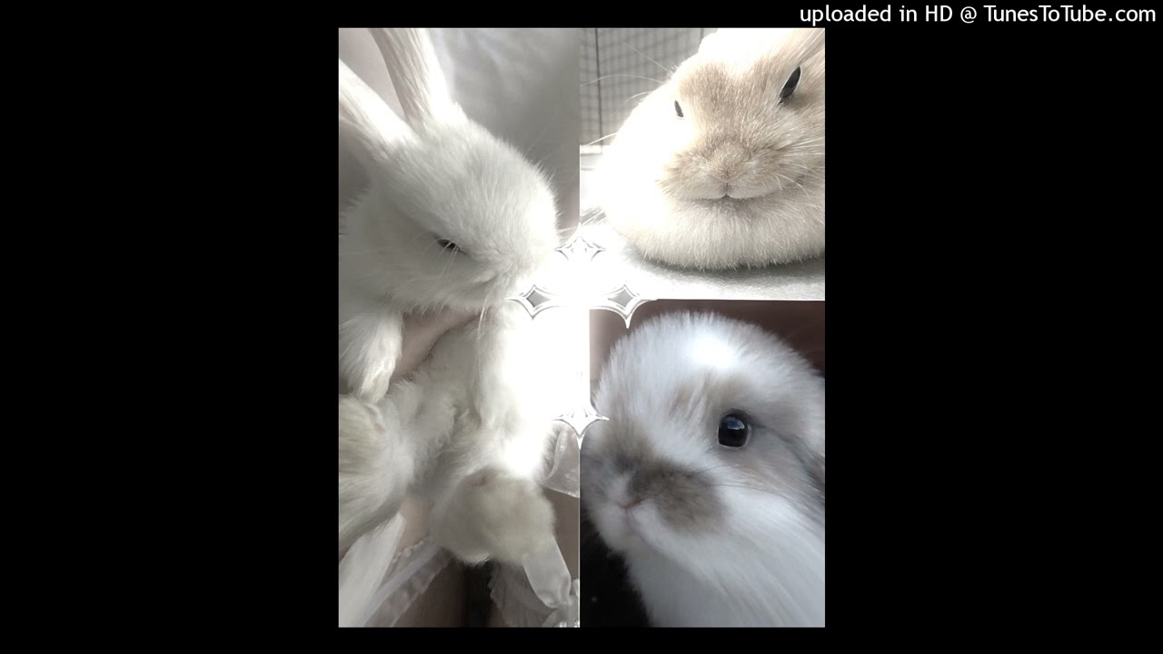 [FREE] digicore x elxnce x dollywood type beat "digital heaven" + vizzzer + whyyshe