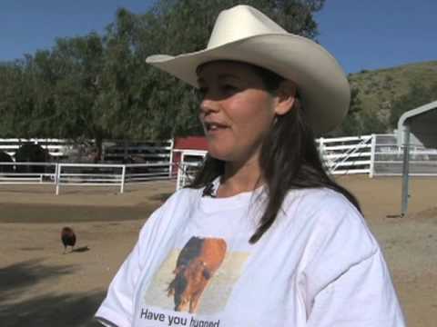 Gentle Barn Foundation Rescues Abused And Neglected Animals Youtube