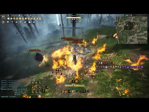 Guardian Awakening Ash Forest 1h 4600TL - BDO Remastered