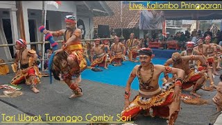 Tari Warok Turonggo Gambir Sari || Live Kaliombo Pninggaran