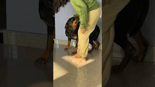 Download Lagu Roxy ne mara MP3