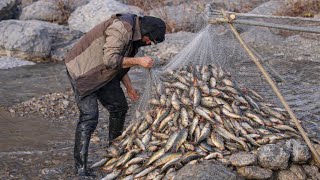 We Shut Down The Stream And The Fish Started Piling Up