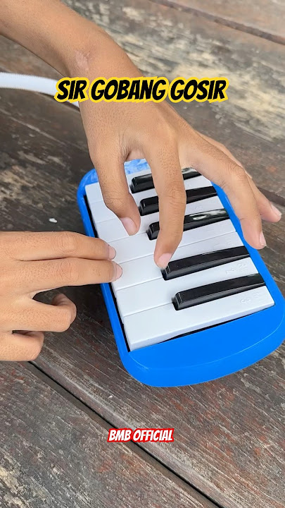Sir Gobang Gosir Remix Sendiri #shorts #pianika #basuri