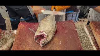 Fish Cutting Learning।। Wander Experts Of Fish Cutting।। Fish Fillet Tutorials