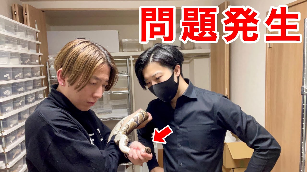 引越しによる生体のダメージをプロに確認してもらいました。