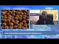 Invité du Jour - Pathé SENE, DG du Forum sur les systèmes alimentaires en Afrique (AFSF) - Sénégal