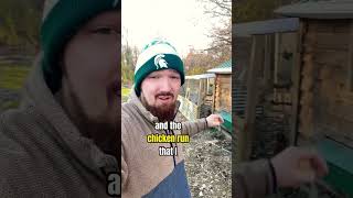 The Secret to Get FREE Eggs