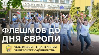 «Україна - це Європа»: 9 травня в Уманському НУС відбулись заходи до Дня Європи в Україні