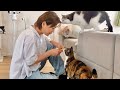 🐱 氷川きよし 白シャツ姿で魅了 猫との癒やし時間に感動「美しすぎる」と話題🎵