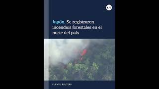 Japón: Se Registraron Incendios Forestales En El Norte Del País