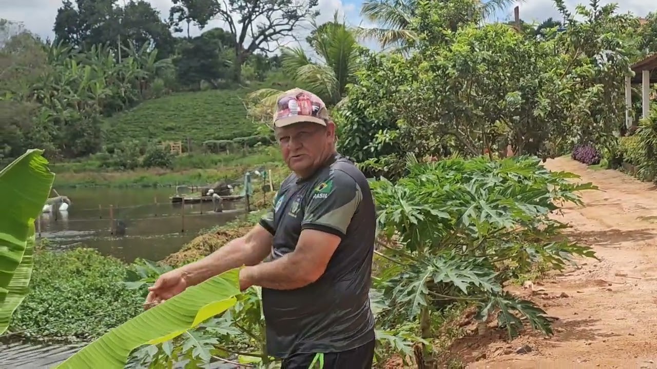 OLHA FUI PESCAR MAIS MEU IRMÃO MAIS PEGUEI AS GALINHA 🐔 