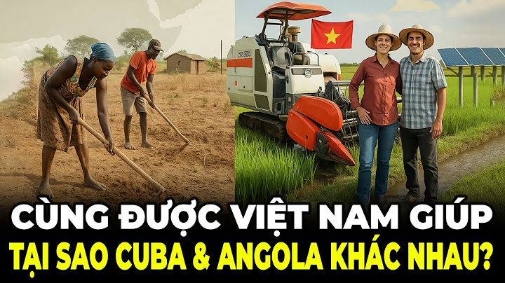 Ngỡ Ngàng: Angola và Cuba Cùng Được Việt Nam Giúp Đỡ, Vì Sao Phát Triển Khác Nhau?