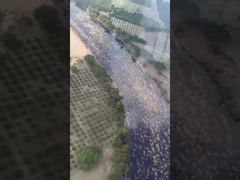 ¡GRAVE DERRAME DE HIDROCARBURO EN DUCTO DLSE-PLOG PEMEX EN VERACRUZ!