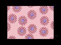 Ciclo Viral | HHMI BioInteractive Video