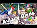 Beautiful FINCH AVIARY (100+ aviary birds, finches and softbills in outdoor bird aviary)