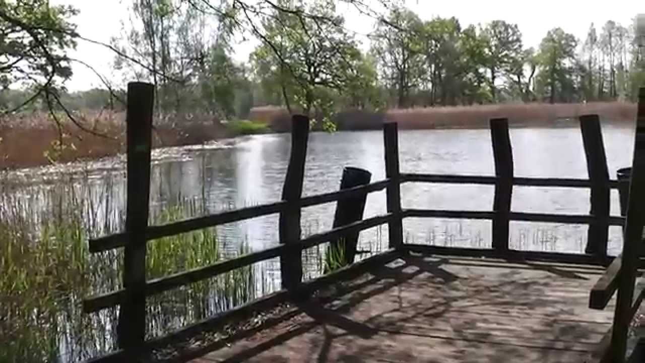 Naturerlebnispfad Guttauer Teiche & Olbasee YouTube
