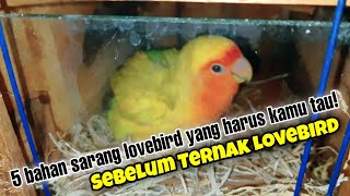 Download Lagu KAMU HARUS TAU! 5 Bahan Terbaik untuk Sarang Burung Lovebird - Sarang Lovebird yang Bagus MP3