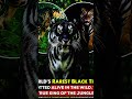world Rarer black tiger #ssc #uppsc #birds #worldmap #trending #upsi #upp #bhaardwajgs #animals