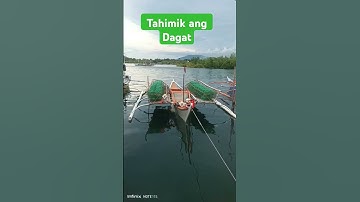 Thumbnail of #tahimikangdagat#seaislife#highlights #short
