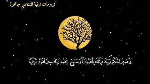 واصبر لحُكمِ ربك فإنك بأعيُننا// حالات واتس اب قران كريم// بصوت ماهر المعيقلي// حالات واتس اب دينية