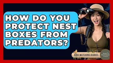 How Do You Protect Nest Boxes From Predators? - Bird Watching Diaries