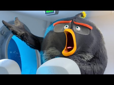 THE ANGRY BIRDS MOVIE 2 BOMB BEST MOMENTS [HD] ANIMATION MOVIE - YouTube