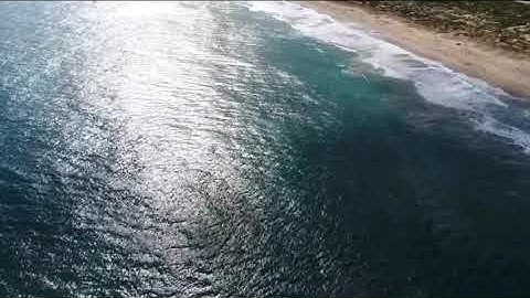 Cách sinh tồn khi bị SHARK tấn công