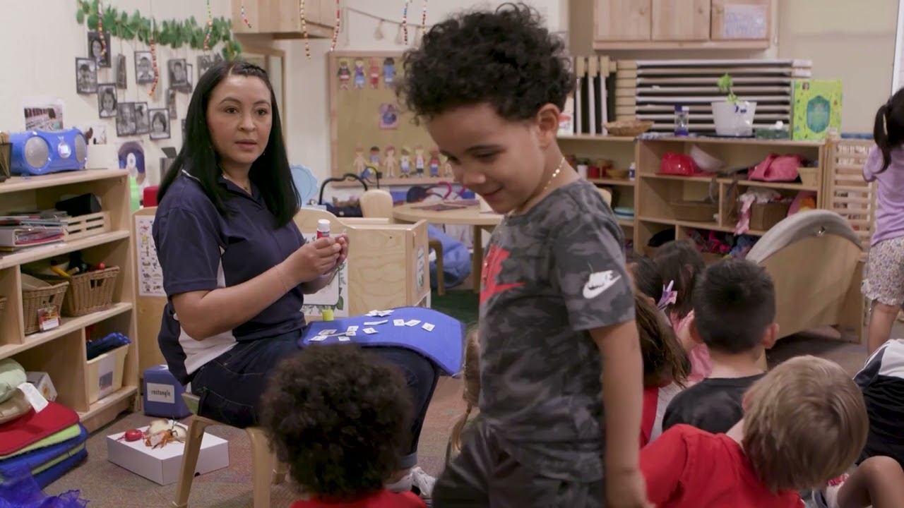 Collecting Data About Insects in Spanish (3–5 years) - Audio Descriptive Version