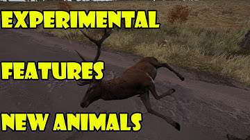 DayZ Experimental 0.47 - New Animals, Chem lights and Path finding