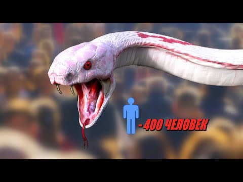 Видео: Ядовиты или ядовиты гремучие змеи?