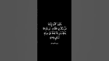 #سورة_الأنعام القارئ #سعد_الغامدي