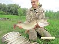 Ловля щуки на реке Тавда в начале августа (начинают попадаться первые крупные особи)