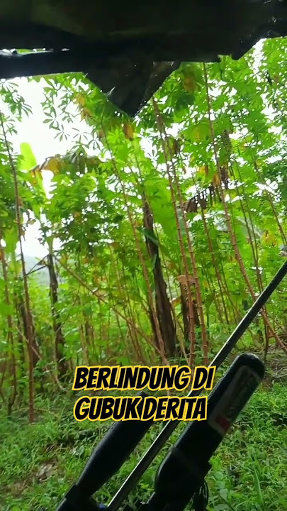 HUNTING KEHUJANAN #dj #cover #lagu #djremix #hunting #berburu #tekukurliar