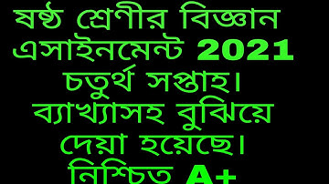 Class Six Science Assignment 4th Week Answer 2021