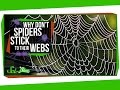Why Don’t Spiders Stick to Their Webs?