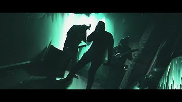 INSECT  - NO LACK OF SPINE