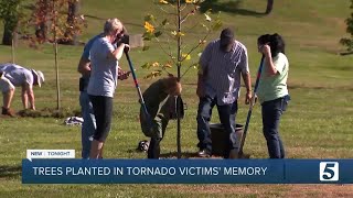 Cookeville's living tree memorial for tornado victims
